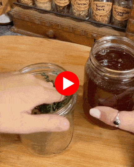 Dr. Fung's Honey Method — Watch the Full Report